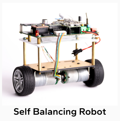 Self Balancing Robot